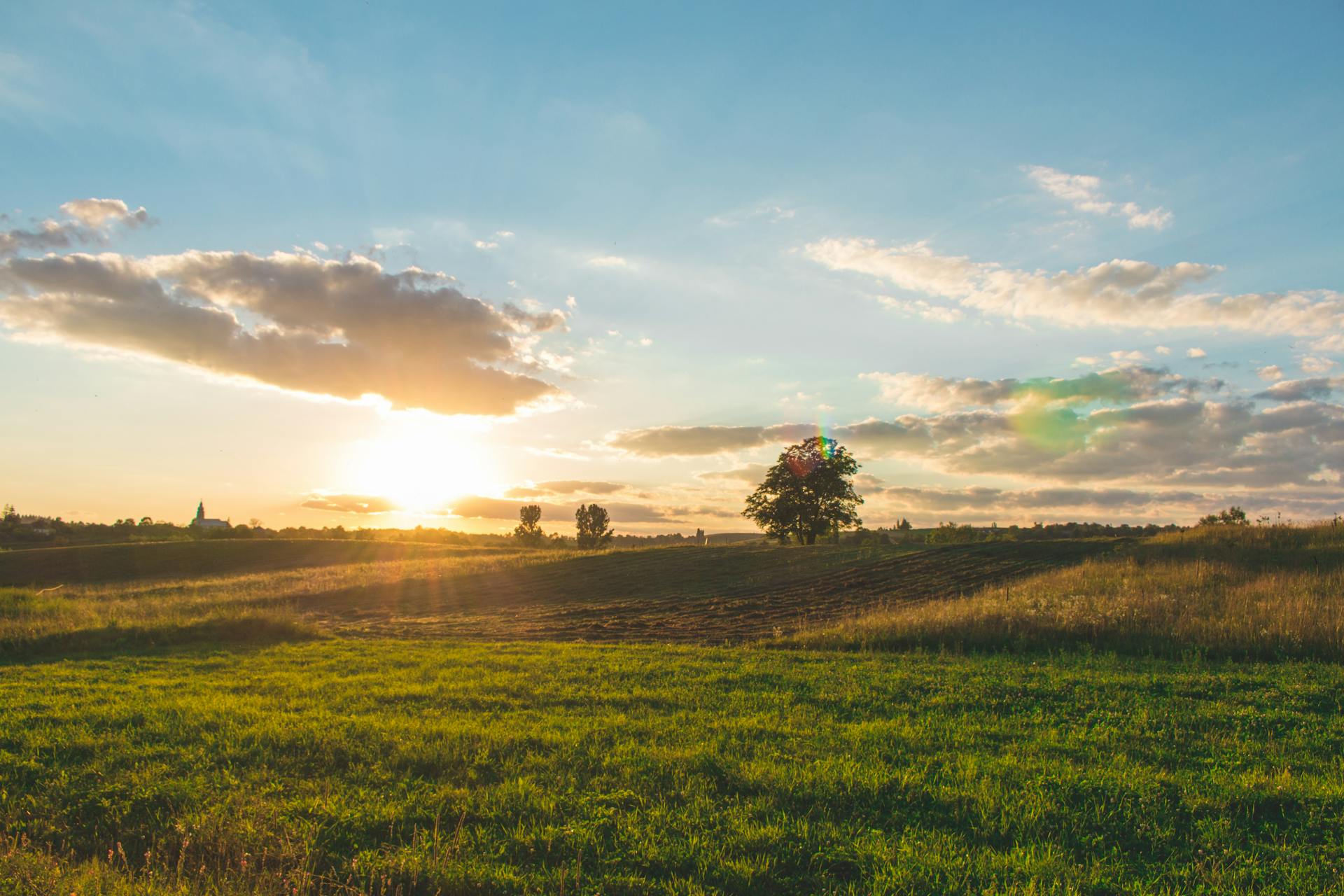 A scenic view of a grassy field at sunset, with the sun partially hidden behind clouds, casting warm light over the landscape. A single tree stands in the middle, and a few more trees are visible in the distance.